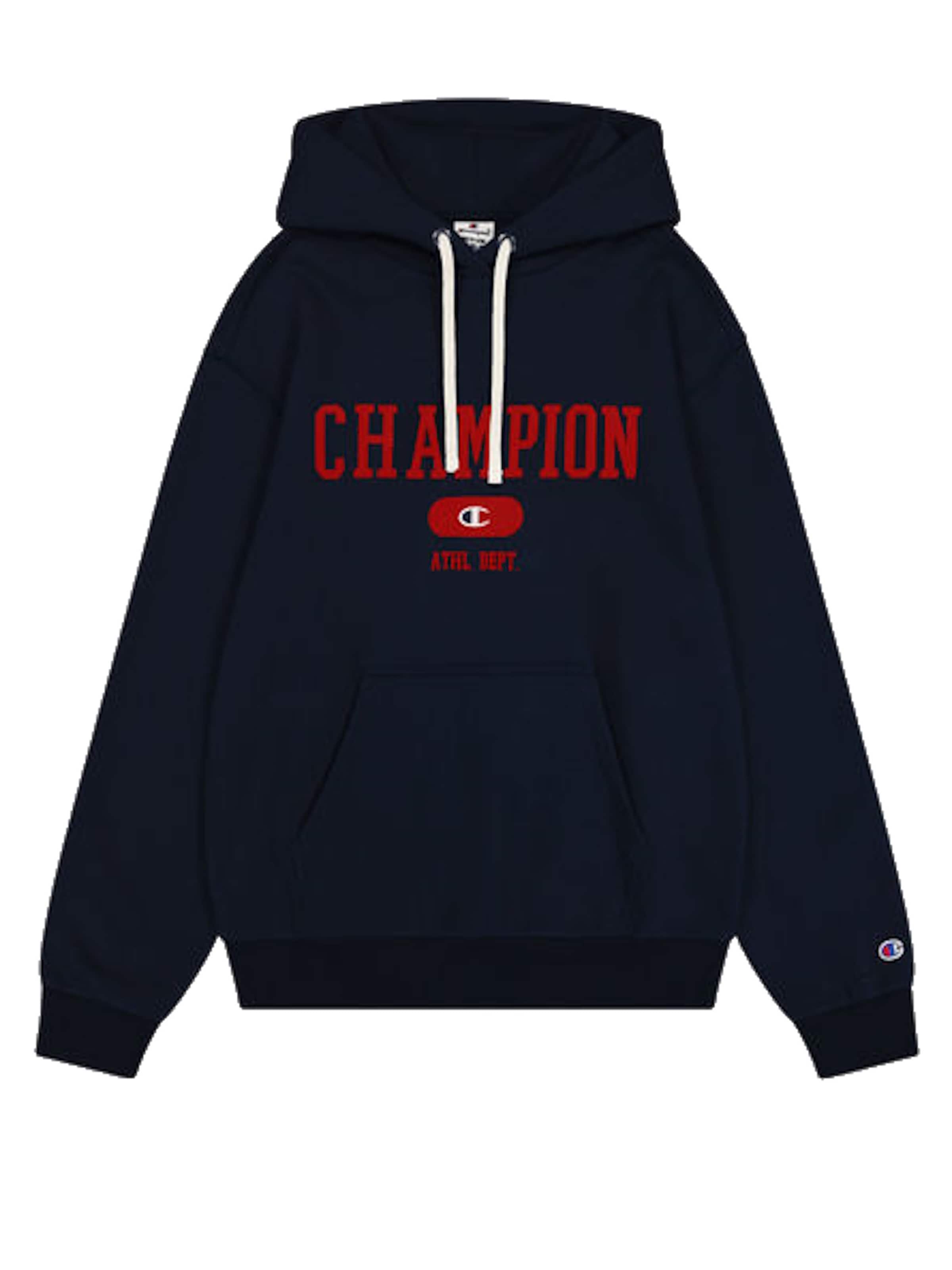 Pullover di Champion Authentic Athletic Apparel in marrone: frontale