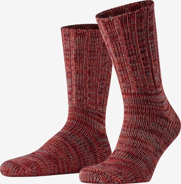 FALKE Socks 'Brooklyn' in Orange: front
