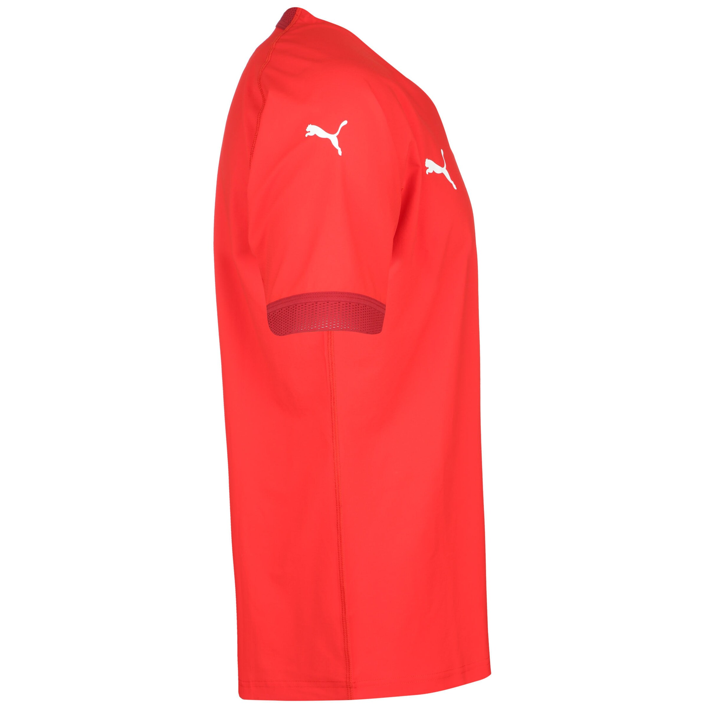 PUMA Trikot 'Team Final' in Rot