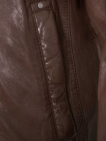 deercraft Übergangsjacke 'DMCris' in Braun