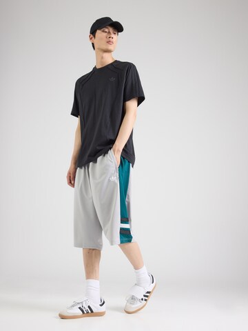 ADIDAS ORIGINALS Loosefit Παντελόνι σε γκρι