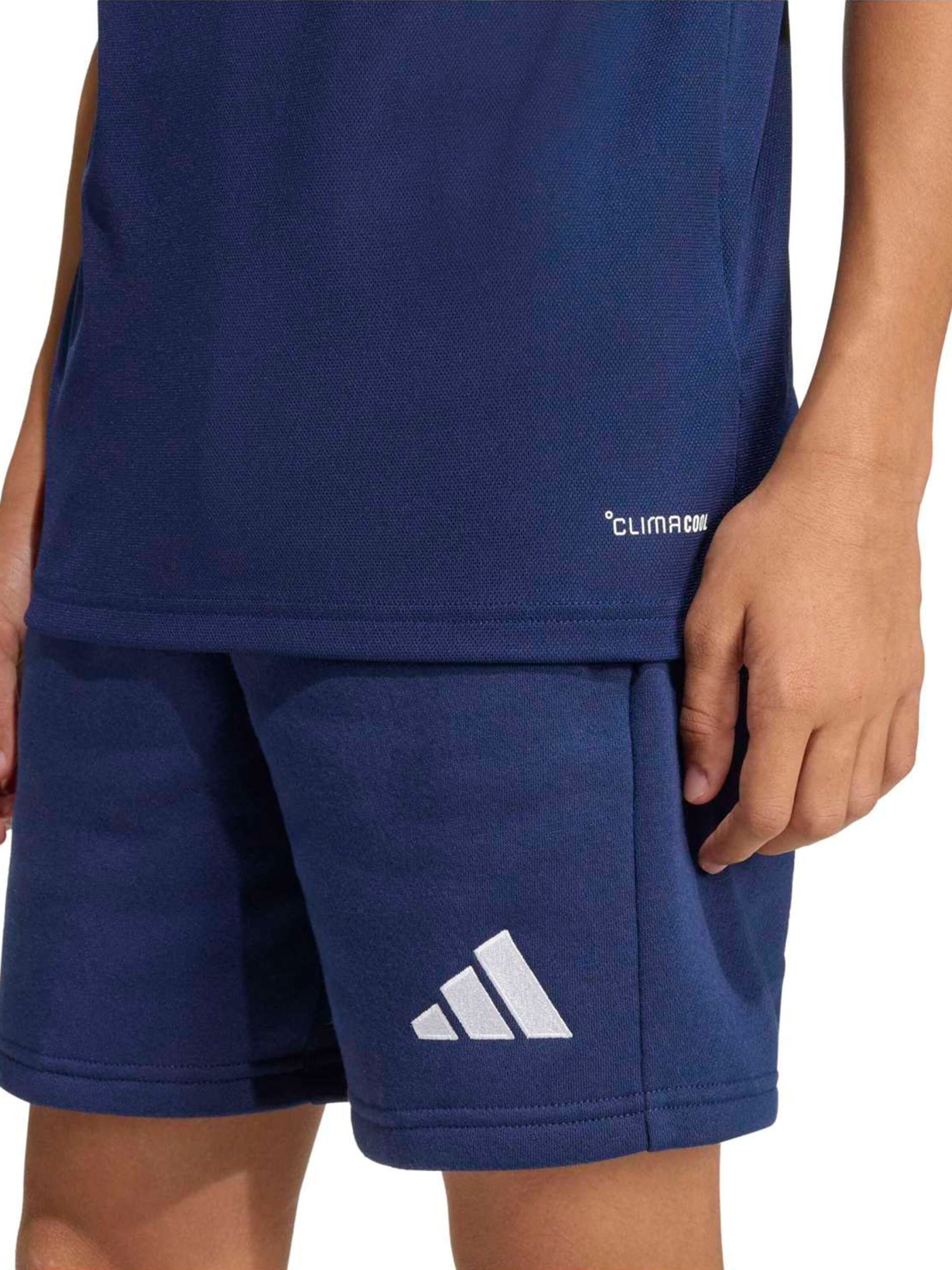 ADIDAS PERFORMANCE Λειτουργικό μπλουζάκι 'ENT26' σε μπλε