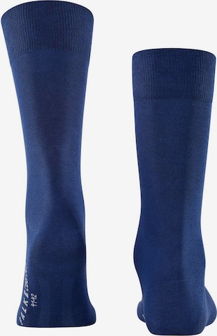 FALKE Socks in Blue