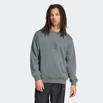 ADIDAS TERREX Athletic Sweatshirt in Grey: front