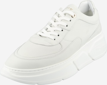 Baskets basses TOMMY HILFIGER en blanc : devant