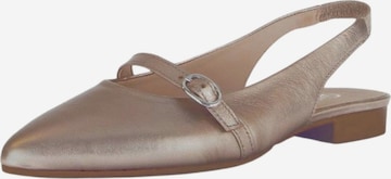 Ballerina con cinturino di GABOR in rosa: frontale