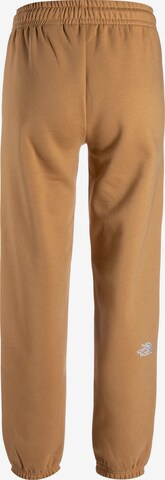 Effilé Pantalon de sport THE NORTH FACE en beige