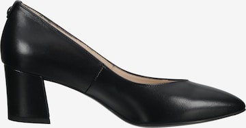 Nero Giardini Pumps in Schwarz