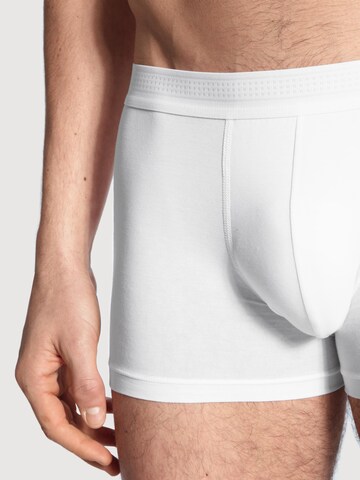 CALIDA Boxer shorts 'Focus' in White