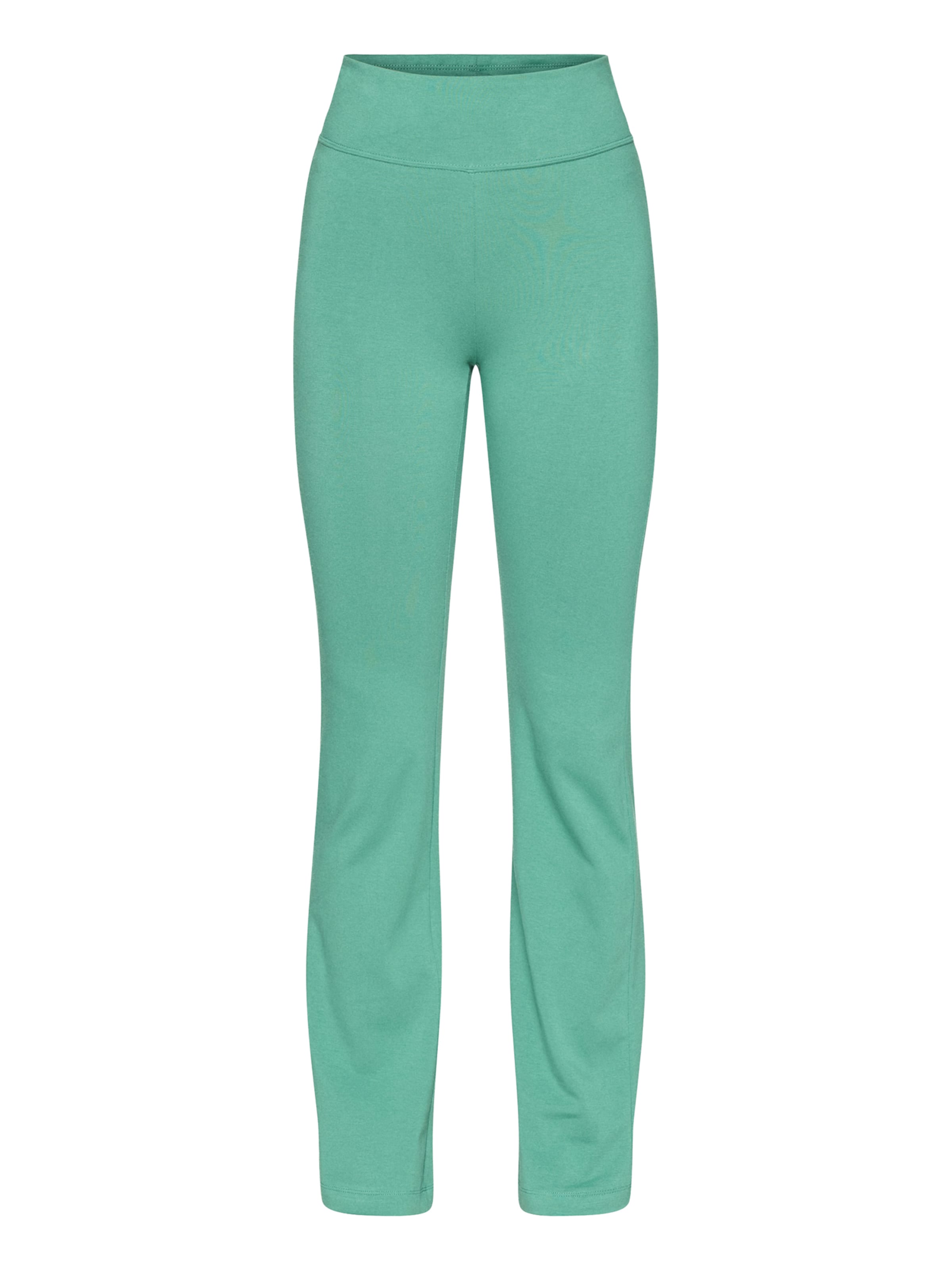 Champion Authentic Athletic Apparel Sports trousers in Green: front