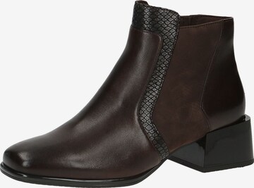 CAPRICE Booties in Brown: front