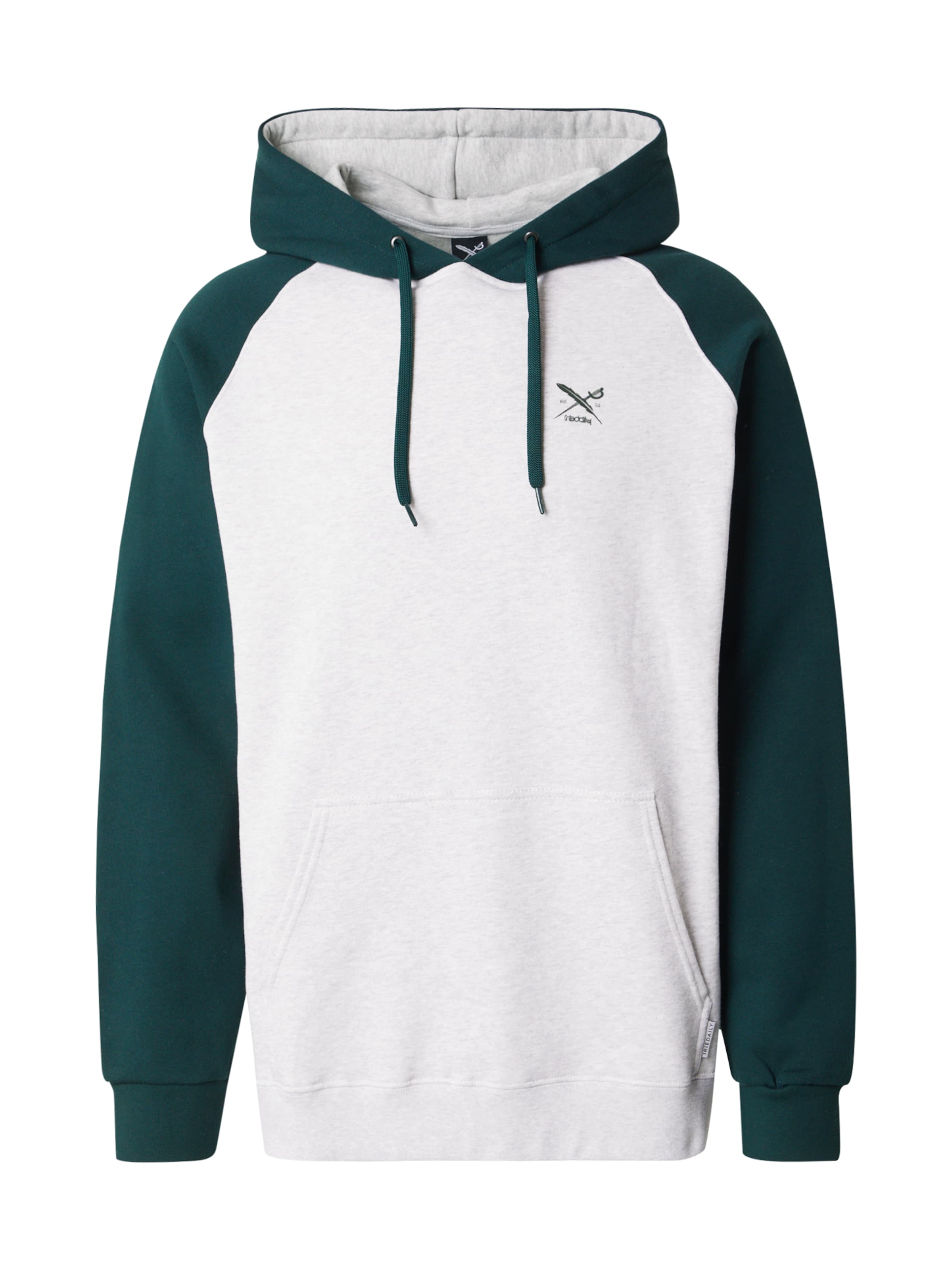 Iriedaily Sweatshirt 'De College' in Grey: front