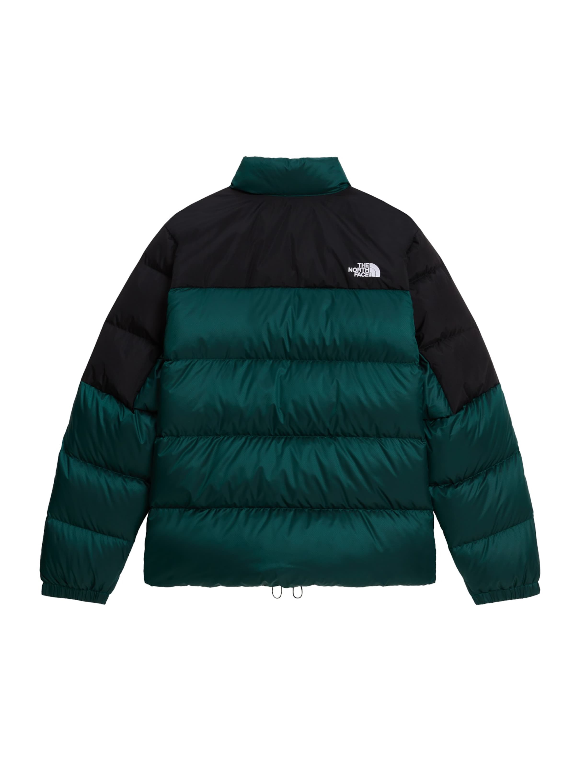 Veste d’hiver 'Diablo 2.0' THE NORTH FACE en vert