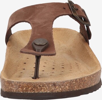 GEOX T-Bar Sandals in Brown