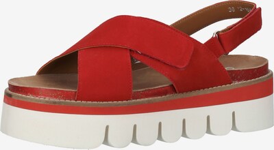 ARA Sandales en rouge, Vue avec produit