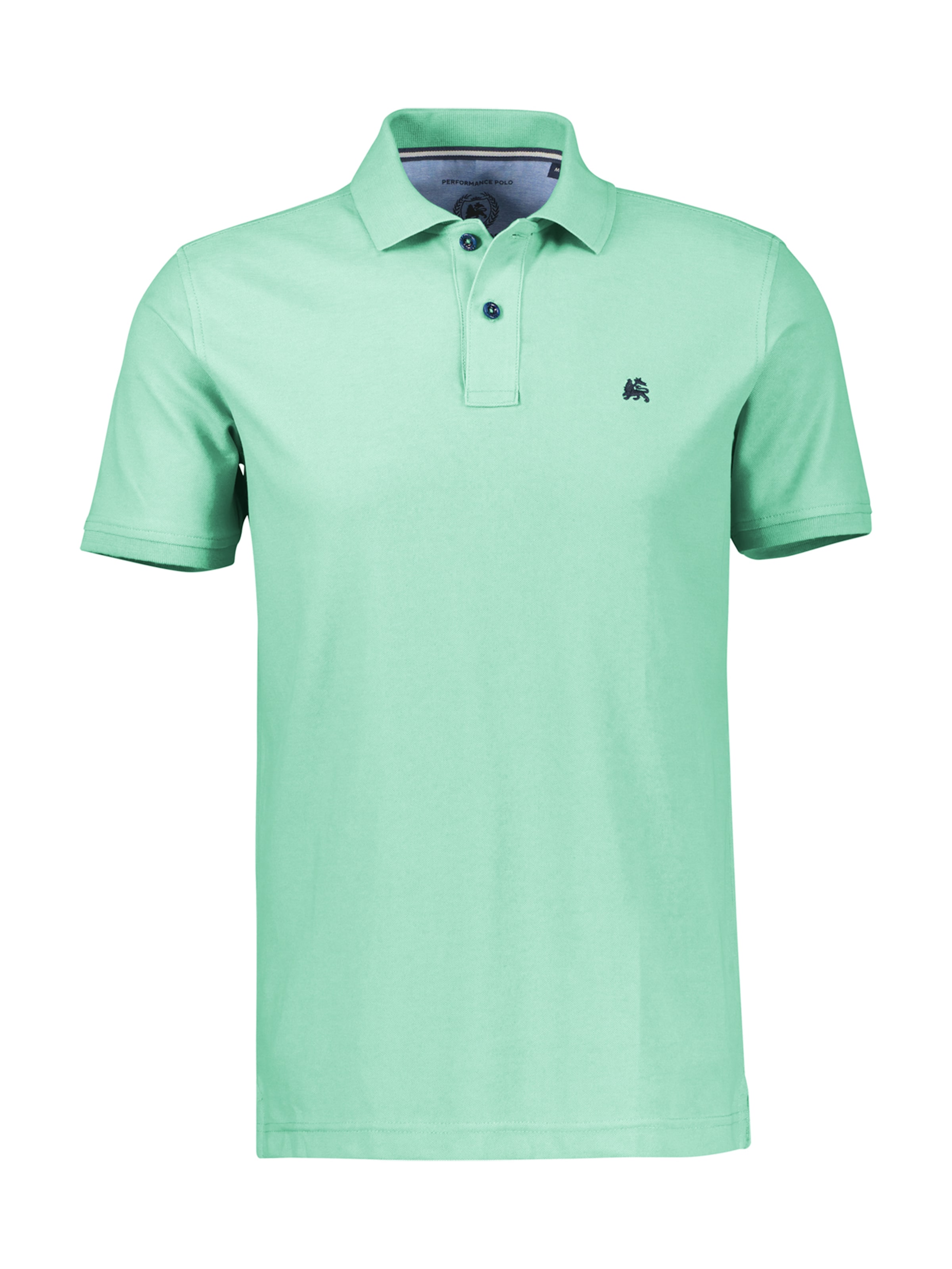 LERROS Shirt in Green: front