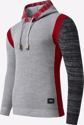 Rusty Neal Pullover in Grau