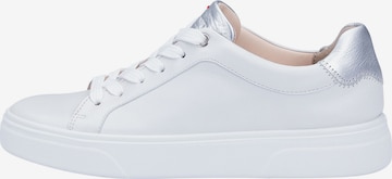 LLOYD High-top trainers in White: front