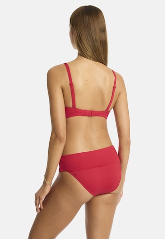 SEA LEVEL Push-up Bikinitop 'Essentials' in Rot