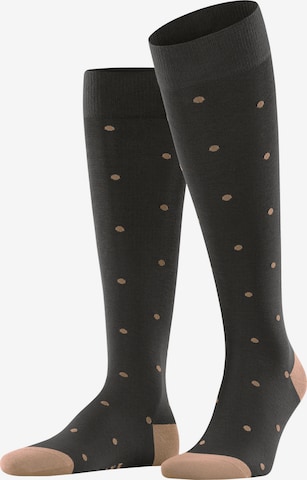 FALKE Kniestrümpfe 'Dot' in Braun: Vorderseite