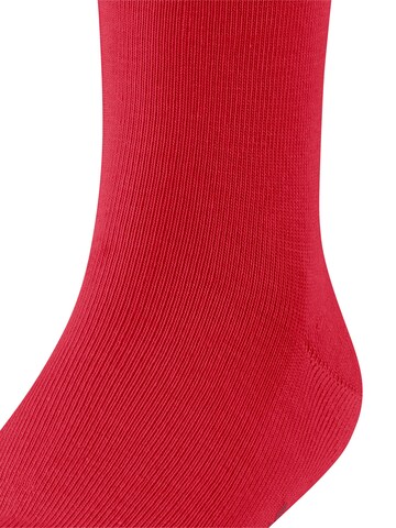 FALKE Socks 'Family' in Red