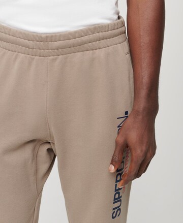 Superdry Tapered Pants in Beige