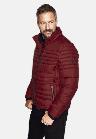 NEW CANADIAN Steppjacke in Rot