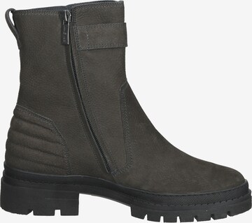 Paul Green Stiefelette in Grau