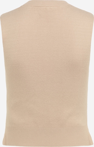 Noisy May Petite Knitted Top 'SHIP' in Beige