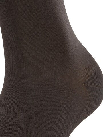 FALKE Knee High Socks 'Cotton Touch' in Brown