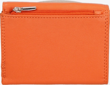 Sergio Valentini Wallet in Orange: front