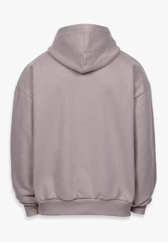 Dropsize Суичър в сиво