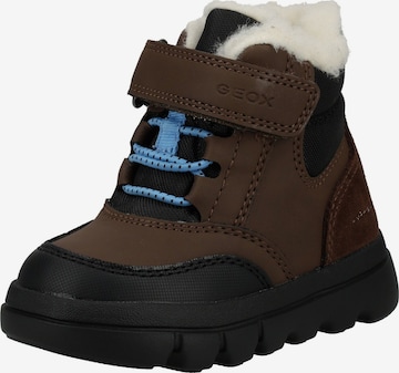Stivale di GEOX in marrone: frontale