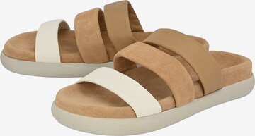 Crickit Sandals 'MATHEA' in Brown