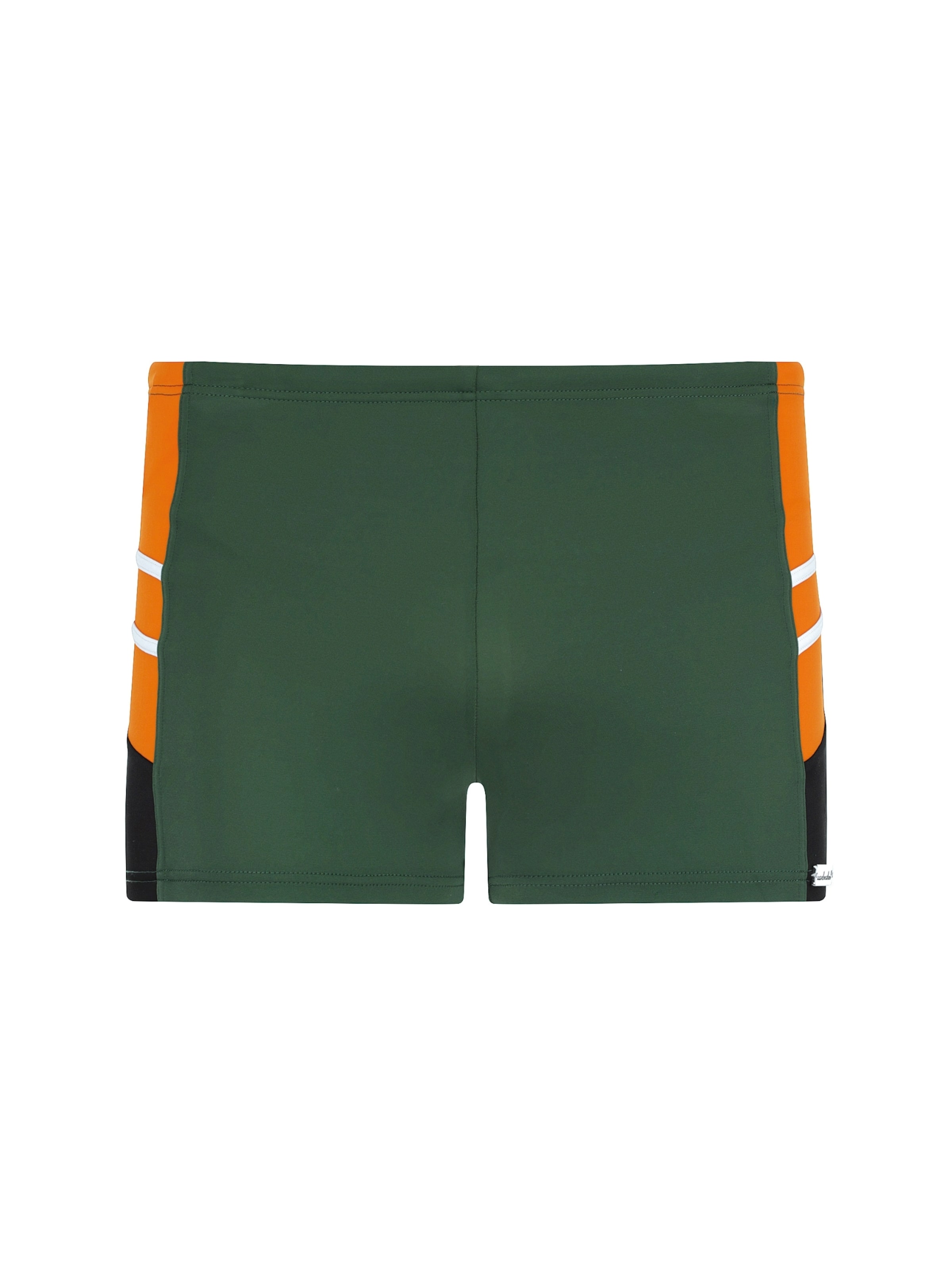 wavebreaker Swim Trunks in Green: front