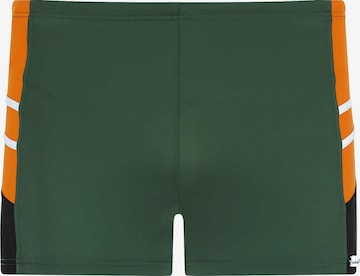 wavebreaker Swim Trunks in Green: front