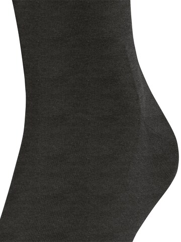 FALKE Knee High Socks 'ClimaWool' in Grey