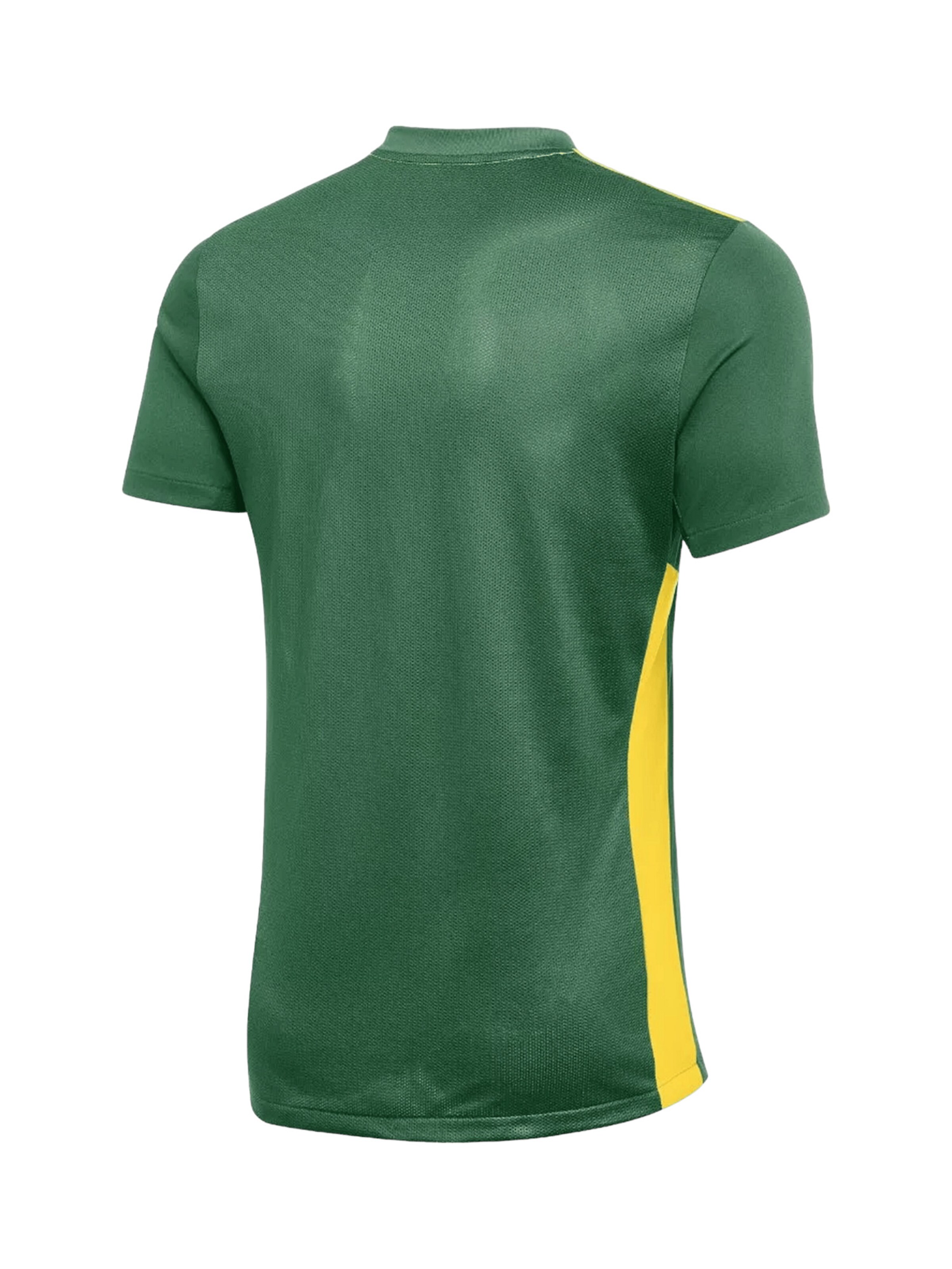 NIKE Trikot in Grün