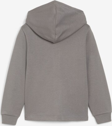 Sweat de sport 'Summer Camp' PUMA en gris