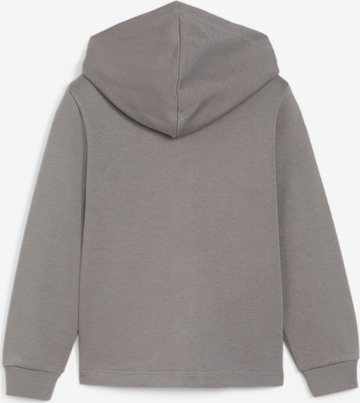 PUMA Athletic Sweatshirt 'Summer Camp' in Grey