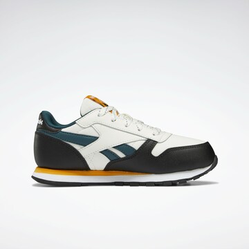 Reebok Sneakers in Wit