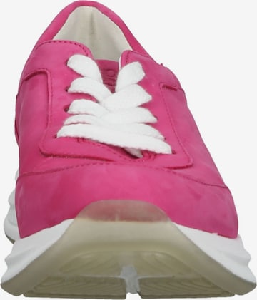 Sneaker bassa di Paul Green in rosa