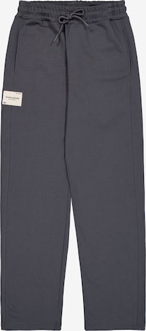 pilka ALPHA INDUSTRIES Laisvas Kelnės: priekis