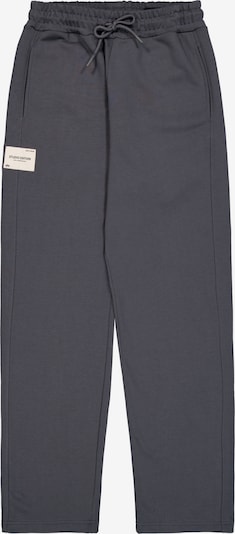 Kelnės iš ALPHA INDUSTRIES, spalva – tamsiai pilka / balta, Prekių apžvalga