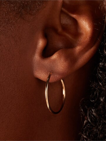 Lucardi Earrings 'Klassisch' in Gold: front