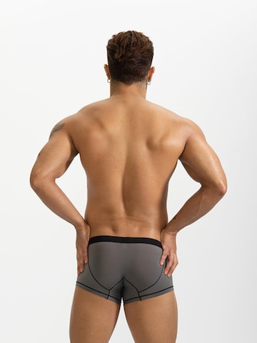 BIMONI Boxer shorts 'Dünn' in Grey