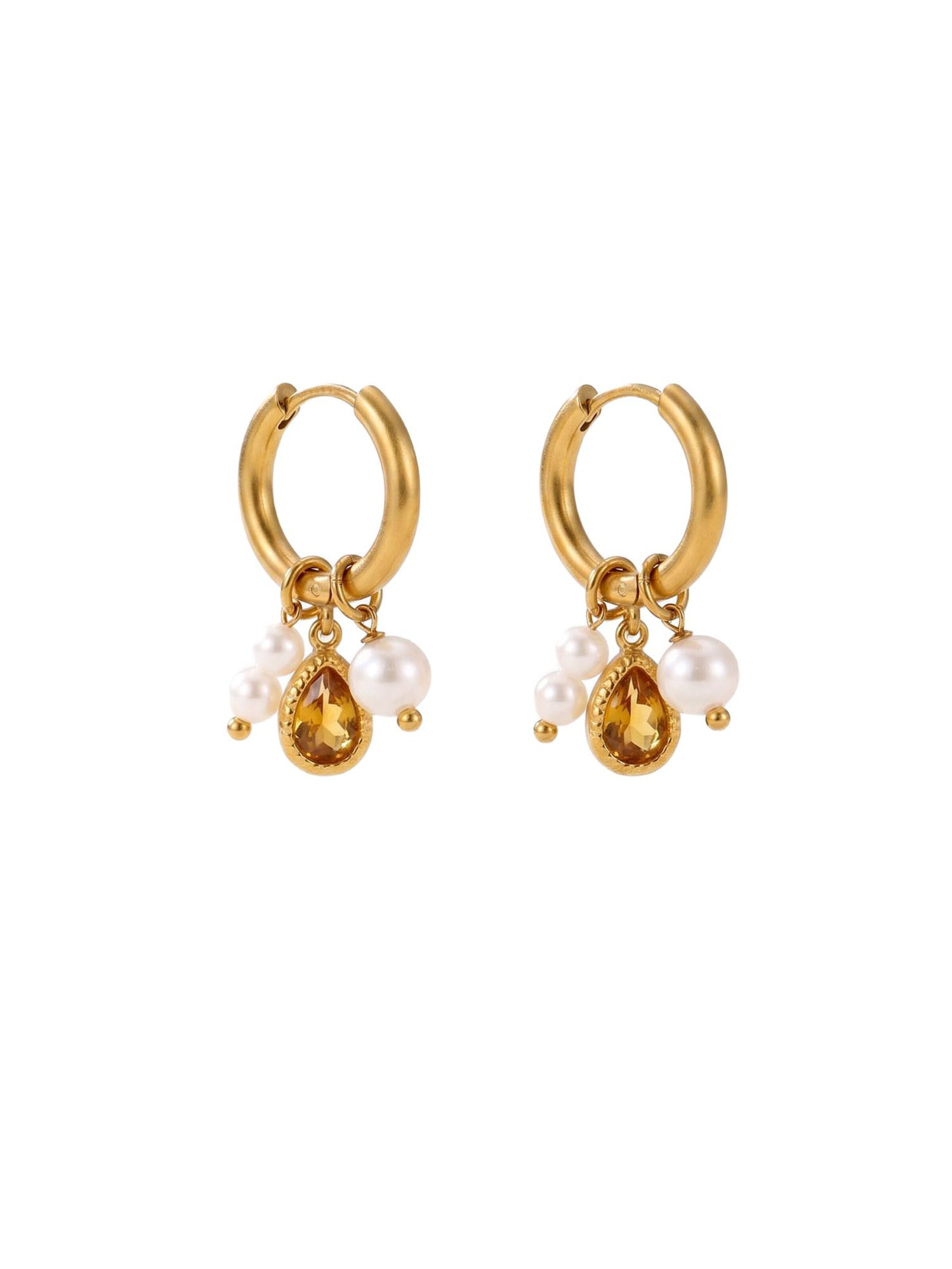 Nemomatheo Earrings 'Miele Huggie' in Gold: front