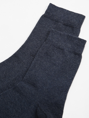 Albert Schäfer Socken (GOTS) in Blau