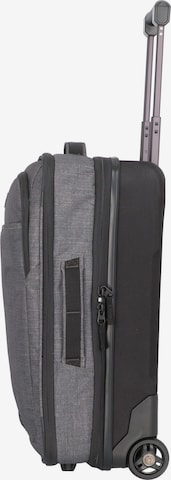 DAKINE Trolley in Grau