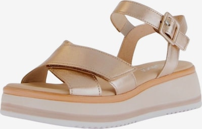 GABOR Sandale in puder, Produktansicht